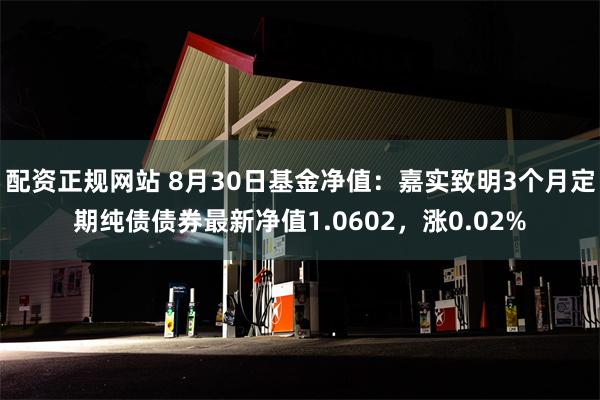 配资正规网站 8月30日基金净值：嘉实致明3个月定期纯债债券最新净值1.0602，涨0.02%