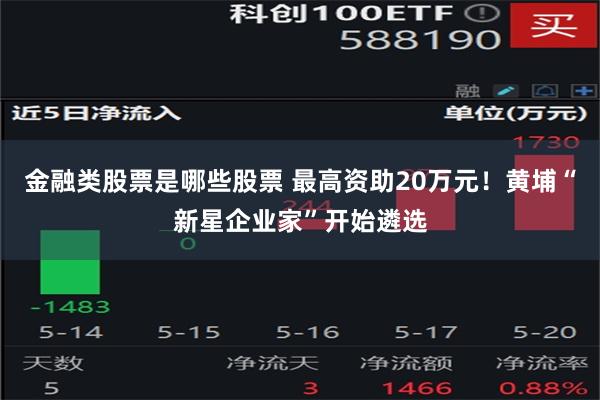 金融类股票是哪些股票 最高资助20万元！黄埔“新星企业家”开始遴选