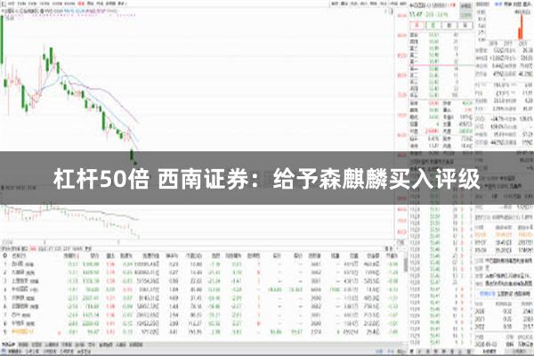 杠杆50倍 西南证券：给予森麒麟买入评级