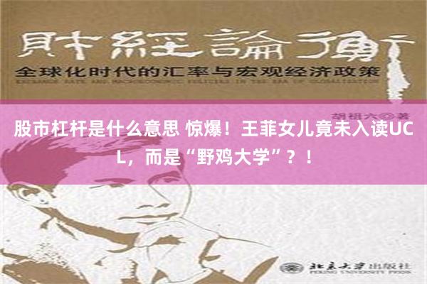 股市杠杆是什么意思 惊爆！王菲女儿竟未入读UCL，而是“野鸡大学”？！