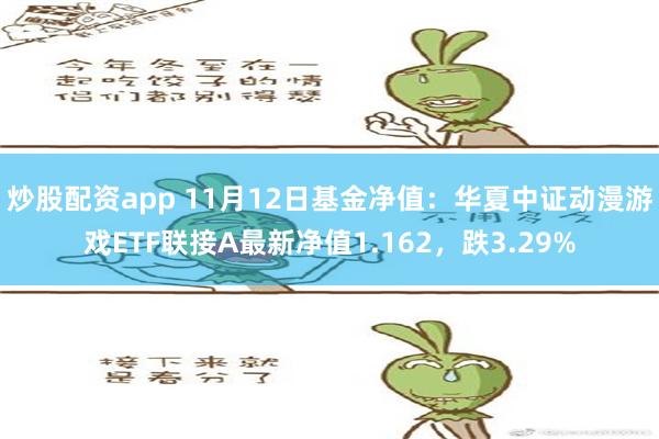 炒股配资app 11月12日基金净值：华夏中证动漫游戏ETF联接A最新净值1.162，跌3.29%