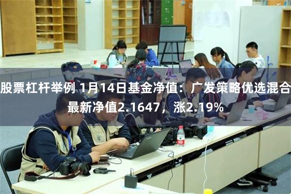 股票杠杆举例 1月14日基金净值：广发策略优选混合最新净值2.1647，涨2.19%